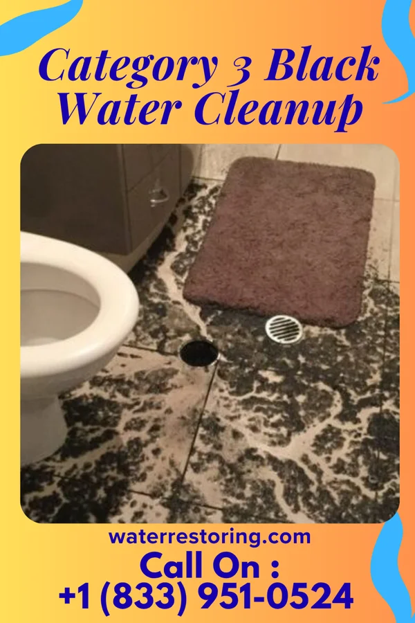 Category 3 Black Water Cleanup in Leslie, AR