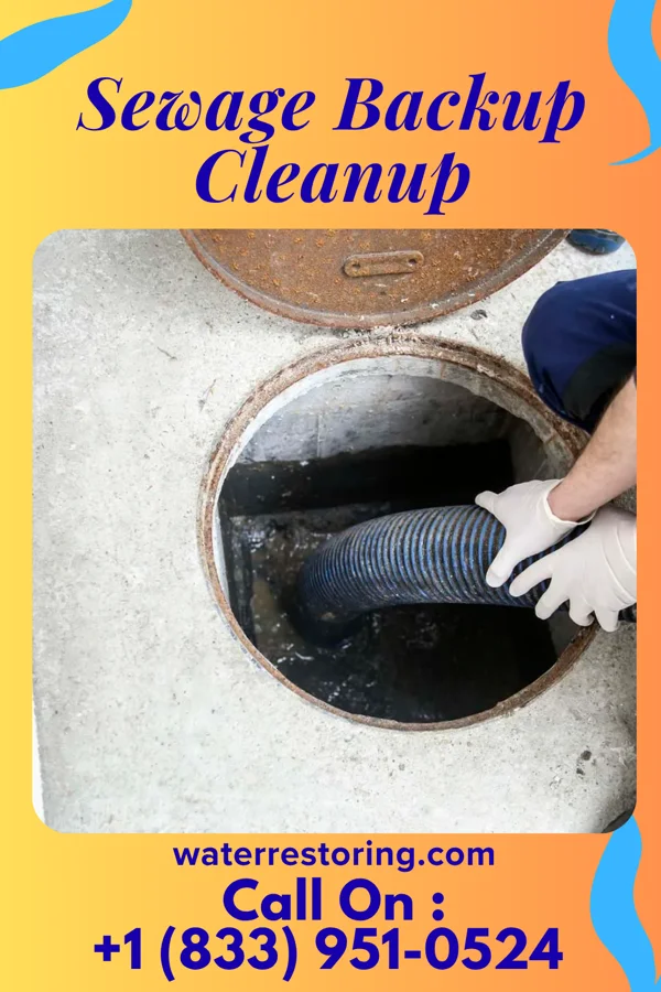 Sewage Backup Cleanup in Leslie, AR